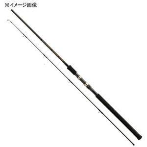 テンリュウ(天龍) パワー マスター ライトコア PML96MH |アウトドア