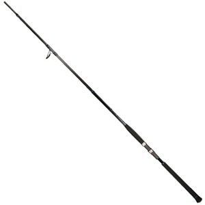 WN\(Jackson) I[VQ[g@inf|POOOlg@ri