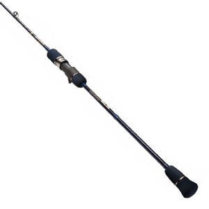 Go[O[(EVERGREENj |ZCh@X[W[J[@orkiUOR|T