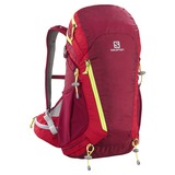 SALOMON(サロモン) スカイ 25 AW L35987800 20～29L