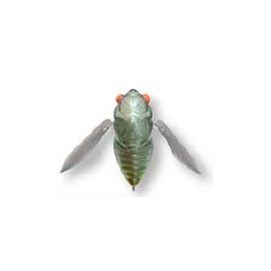 KoX(Megabass) rhfkdssiVOj