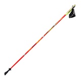 LEKI(レキ) マイクロマジック 1300310220 ノルディックウォーキング用ポール
