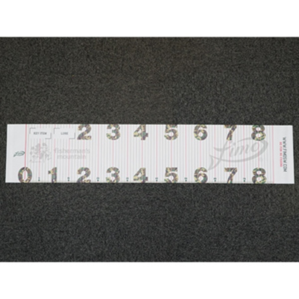 fimo(フィーモ) メジャー(ワイド)   メジャー