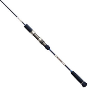 Go[O[(EVERGREENj |ZCh@XsW[J[Cg@oroi@UORk