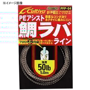 オーナー針 PFP04 PFアシスト 鯛ラバライン 6号/35lb 66101 オーナー針 PFP04 PFアシスト 鯛ラバライン 6号/35lb 66101