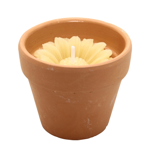 不二貿易 フラワーポットキャンドル M シトロネラ 0957337 防虫､殺虫用品