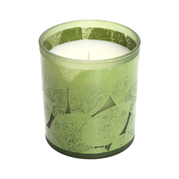 不二貿易 ガラスキャンドルリーフシトロネラ 0957368 防虫､殺虫用品