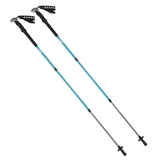 Coleman(コールマン) I-1 トレッキングポール 2000026826 T型グリップトレッキングポール
