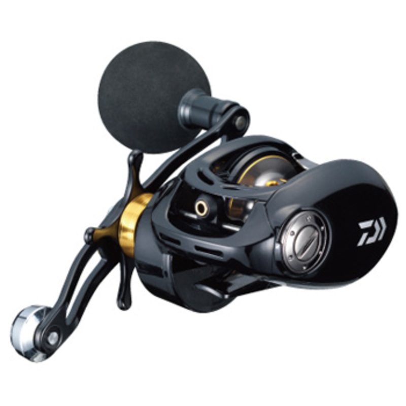 ダイワ(Daiwa) ヴァデル ベイジギング 100SH 右巻き 00613695
