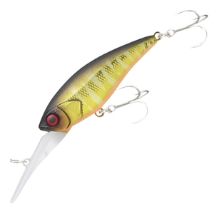 WbJ(JACKALL) fB[rVbh@TTrq