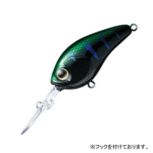 _C(Daiwa) XeB[YNN@QOO|r