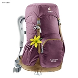 deuter(ドイター) ツークスピッツェ 22 SL D3430016-5607 20～29L