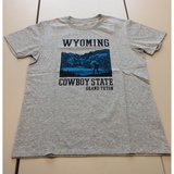 THE NORTH FACE(ザ･ノース･フェイス) WY BACKPACKING Men’s NT31504 【廃】メンズ速乾性半袖Tシャツ