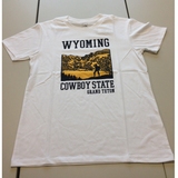 THE NORTH FACE(ザ･ノース･フェイス) WY BACKPACKING Men’s NT31504 【廃】メンズ速乾性半袖Tシャツ