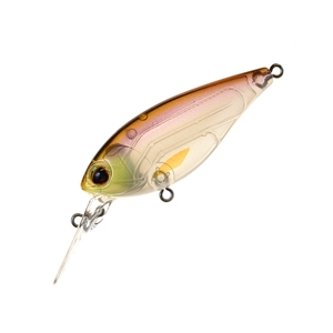 o[NC cdw@rbTTeifbNX@VbfBONNj