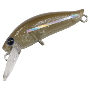 DAYSPROUT(fBXvEg) C[Ov[[lq@e{