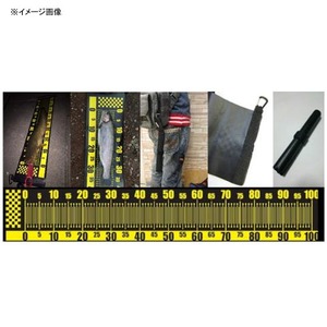 椿研究所 メモリアップ  