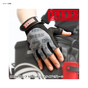 hX(DRESS) cqdrr@O[u@TtBK[X^Cv