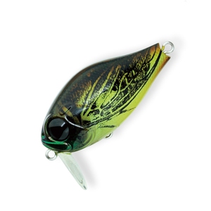 WbvxCc r[@XCb`[rrq@NCY