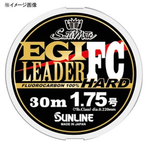 初心者必見!イカ釣りの方法やエギングにおすすめのタックル選びをご