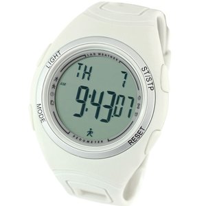 LAD WEATHER(ラドウェザー) PEDOMETER MASTER II(ペドメーターマスター) lad011cgsv-1