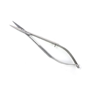 xg(Belmont) JTMGT؂nT~