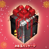 ナチュラム 【2017お年玉パッケージ】キャンプ用品3点詰め合わせ その1   キャンプベッド