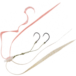 _C(Daiwa) g@jbg@`[@rr