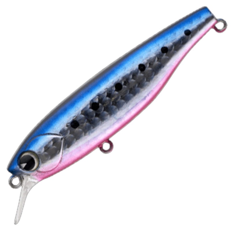 アムズデザイン(ima) K-太 77 サスペンド 1120008|アウトドア用品