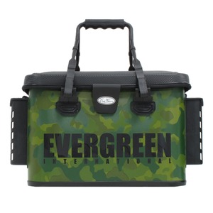 Go[O[(EVERGREENj dDfDobJ@R