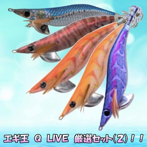 ヤマシタ エギ王 Q K live 4.0号 4.5号 エギセット ルアーセット 080_1.jpg?20170907171554