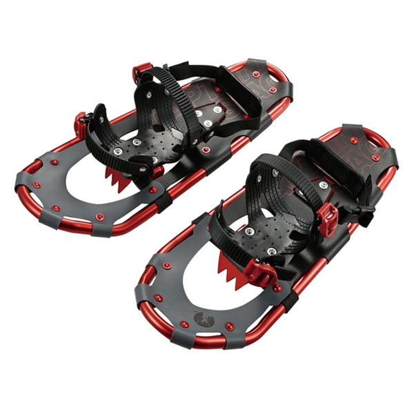 キャプテンスタッグ(CAPTAIN STAG) CS スノーシューTYPE2 22inc UX-950 スノーシュー