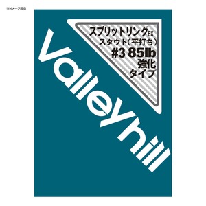 バレーヒル(ValleyHill) スプリットリング EX.スタウト