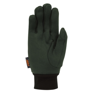 TERRA NOVA(em@) EH[^[v[t@p[Ci[@O[u