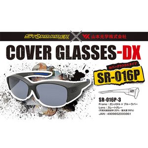 【送料無料】ストームライダー(STORM RIDER) ＳＲ-０１６-Ｐ ＣＯＶＥＲ ＧＬＡＳＳＥＳ-ＤＸ ガンメタル スレートグレー