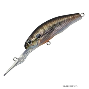 Go[O[(EVERGREENj bDbDvf^[