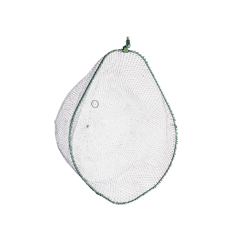 h fBOt[ C[mvX bN^Cv iino{j tBbVOc[