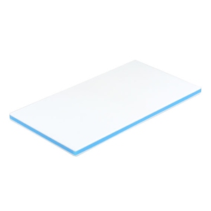 三洋化成(sanyokasei) CKB-20M 抗菌業務用まな板 CKB-20M