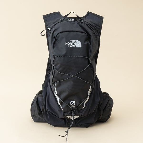 THE NORTH FACE  martin wing 10 Lサイズ