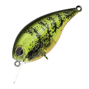 o[NC cdw@bqTTrqifbNX@NNxCgj