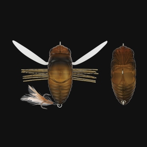 デュオ(DUO) レアリス 大真虫 ７５ｍｍ ＣＣＣ３２０３ セミ殻