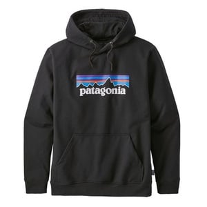 パタゴニア（patagonia） P-6 ロゴ アップライザル フーディ メンズ 39539