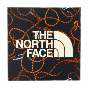 THE NORTH FACE（ザ・ノースフェイス） ＴＮＦ ＰＲＩＮＴ ＳＴＩＣＫＥＲ ＲＰ NN31710