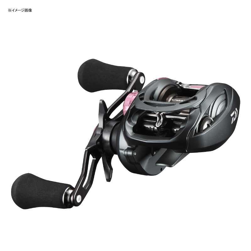 ダイワ(Daiwa) キャタリナTW 100PL-RM 左巻き 00630015｜アウトドア