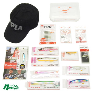 AsA(APIA) `oh`Vt܁@QOPX@Lbv@ubNZbg