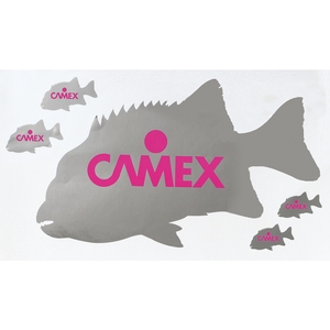 CAMEX（キャメックス） 石鯛ステッカー