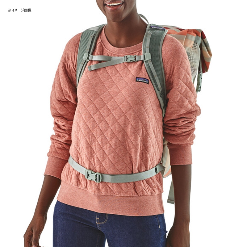 パタゴニア(patagonia) Planing Roll Top Pack(プレーニング ロール