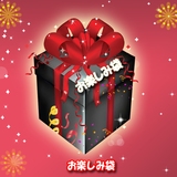 ナチュラム 【ノースフェイスの大人気ジャケット&ターグのサコッシュ】が必ず入った超お得なお楽しみ袋！   ハードシェルジャケット(メンズ)