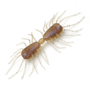 RAIDJAPAN(ChWp) Qv`xic[EFCj