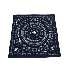 XvbV tbViSPLASH FLASHj XNGAW[^I